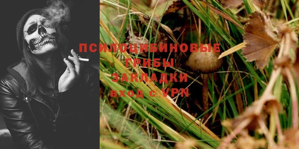дмт Кулебаки