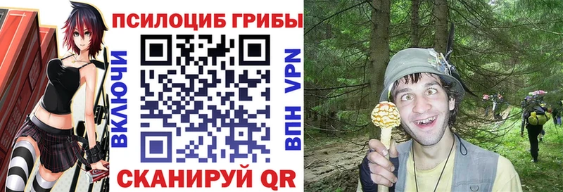 Псилоцибиновые грибы Psilocybine cubensis  Купить где  Краснознаменск 